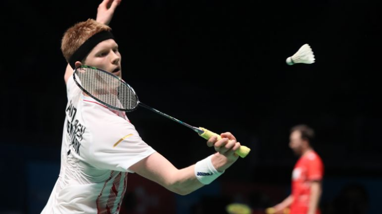 以其独特的 以其独特的